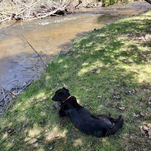 Meet your Posher, Joanne